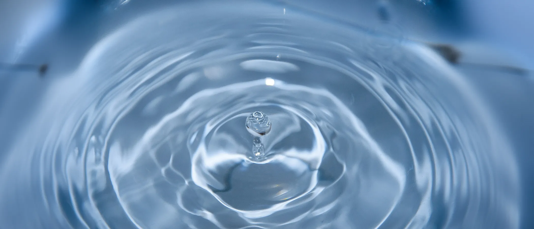 Thumbnail for Gallery Image 0